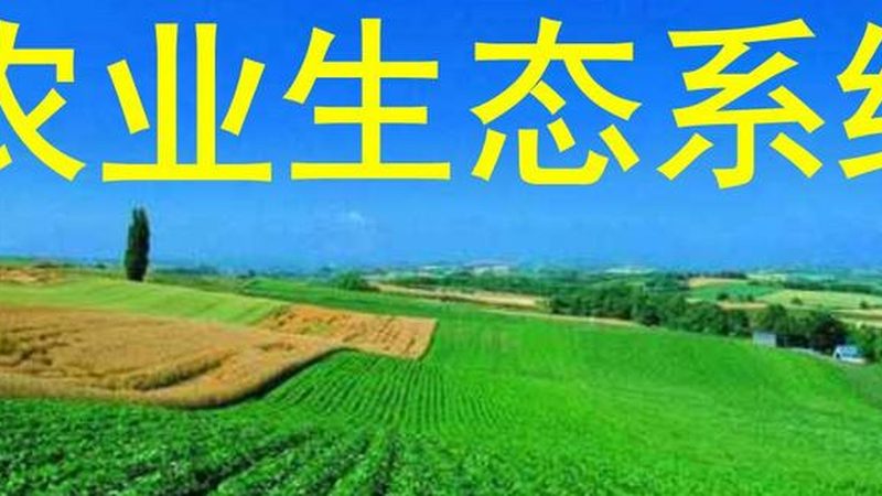 智慧农业系统：优缺点解析与选型建议