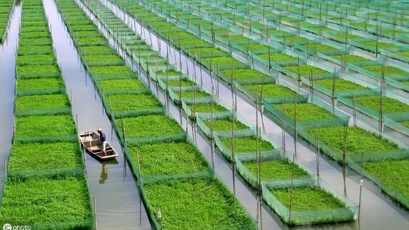 家庭农场种植设备：标准规范，助力高效农业**