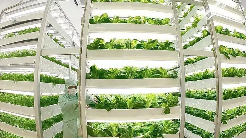 智慧农业大数据平台：生产厂家资质要求揭秘