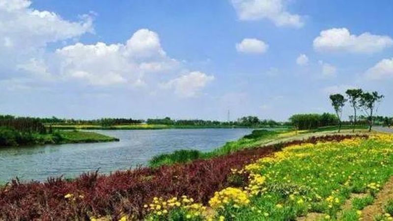 揭秘：生态农业项目如何脱颖而出，十大排名解读