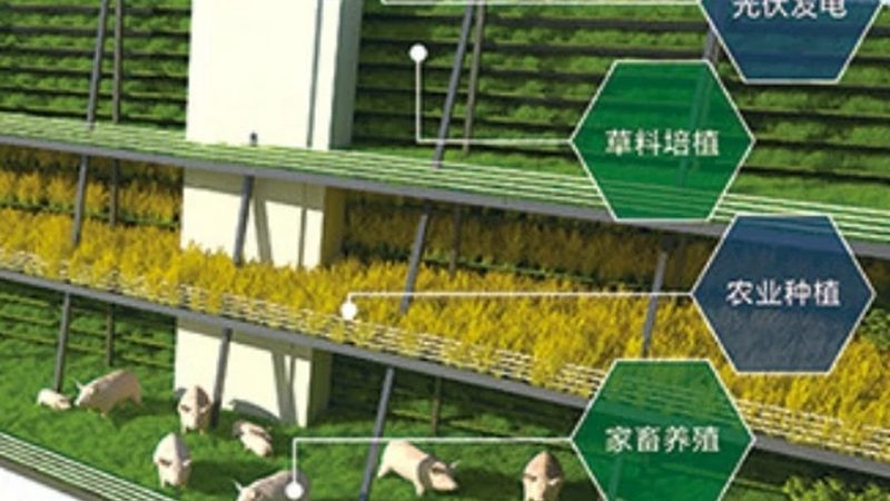 山东农产品批发基地：探寻优质农产品的源头