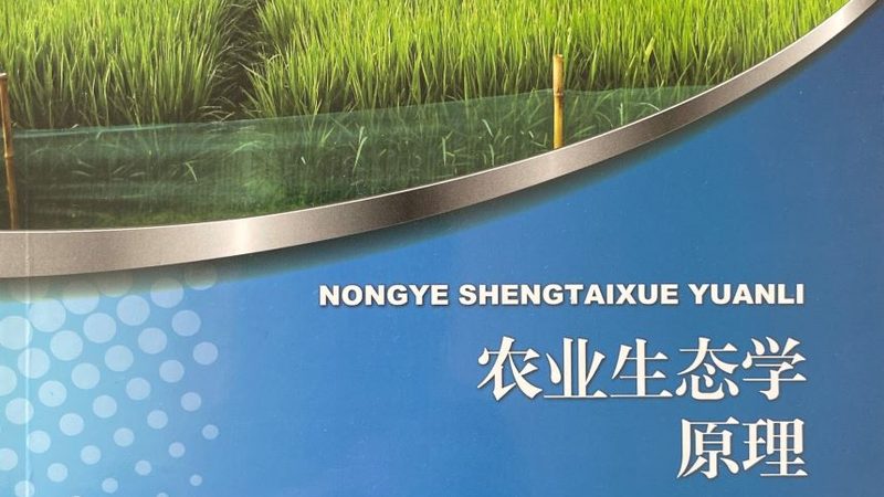 农资电商平台定制种子服务：如何精准满足种植需求
