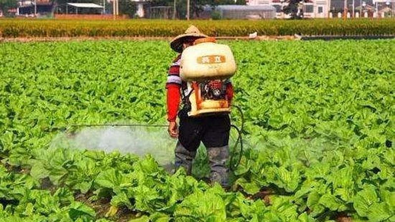 食堂有机蔬菜配送，不止是换一家供应商那么简单