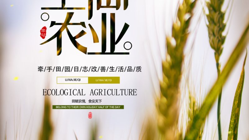 山东种粮大户的土地流转账本：价格波动背后藏着什么